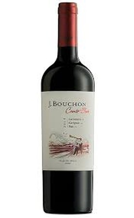 J. Bouchon Canto Sur 2012 w