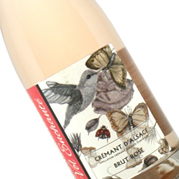 Vol Enchante Alsatian Rose