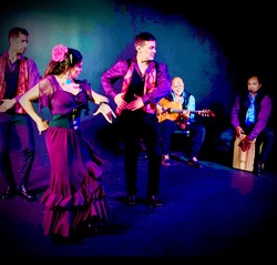 May 16 Flamenco Night